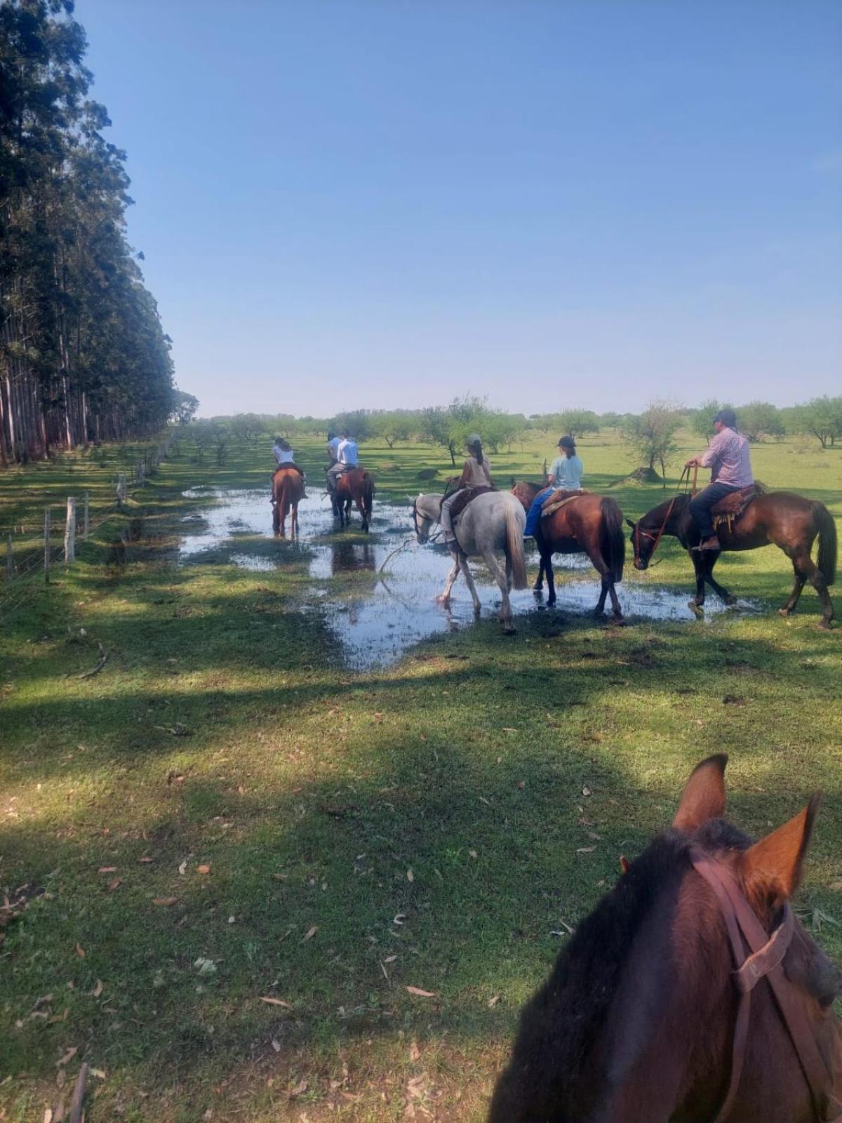Estancia La Violeta Chajari Luaran gambar