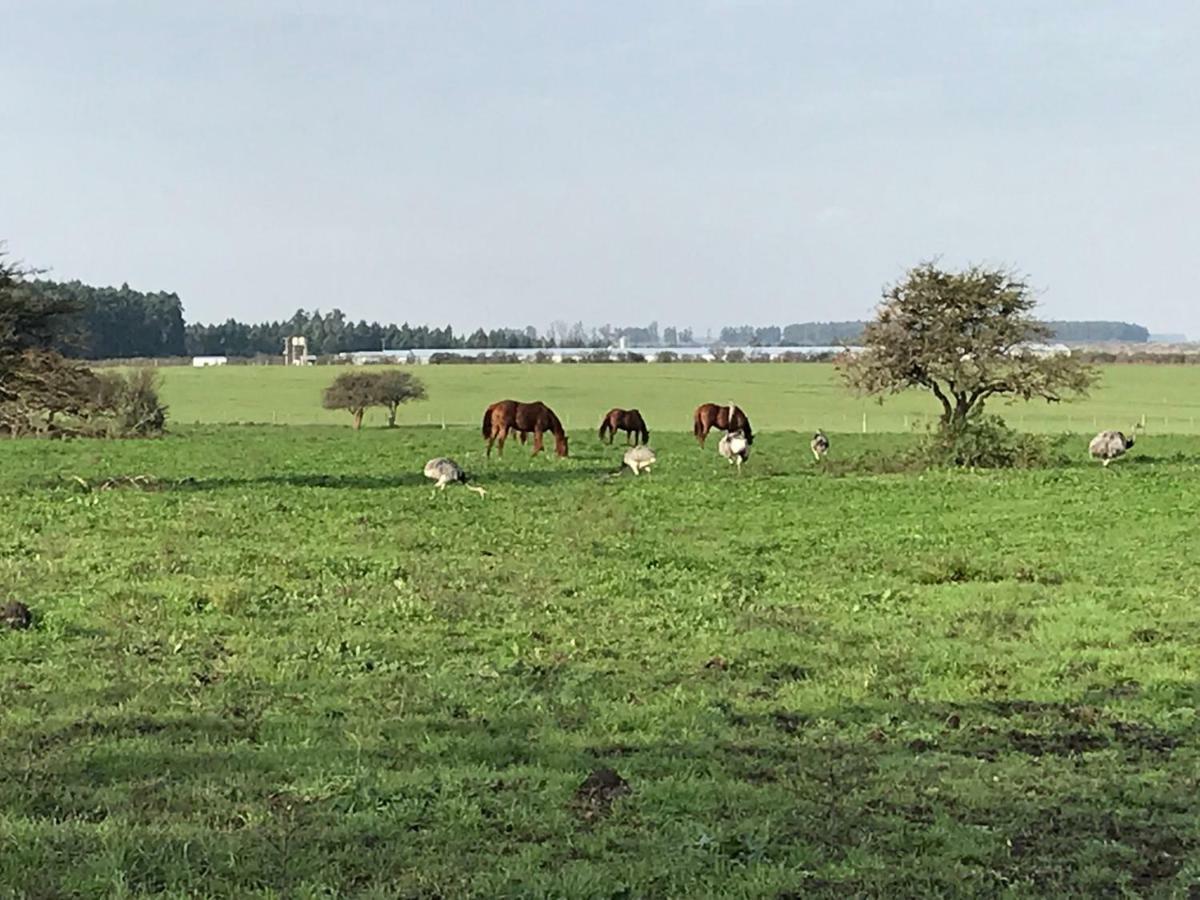 Estancia La Violeta Chajari Luaran gambar